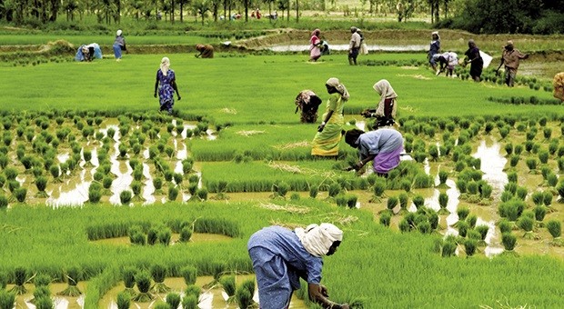 Kerala, oasi felice dell’India