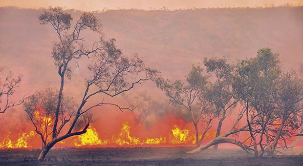 Australia in fiamme. La “Chernobyl della crisi climatica”