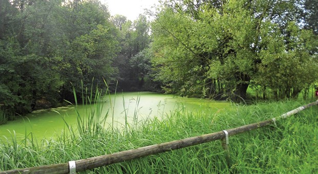 Vivere il Parco delle Colline